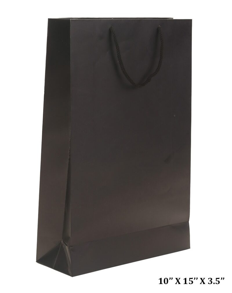 Paper Bag Black Pack Of 25(10"x15"x3.5")(25)