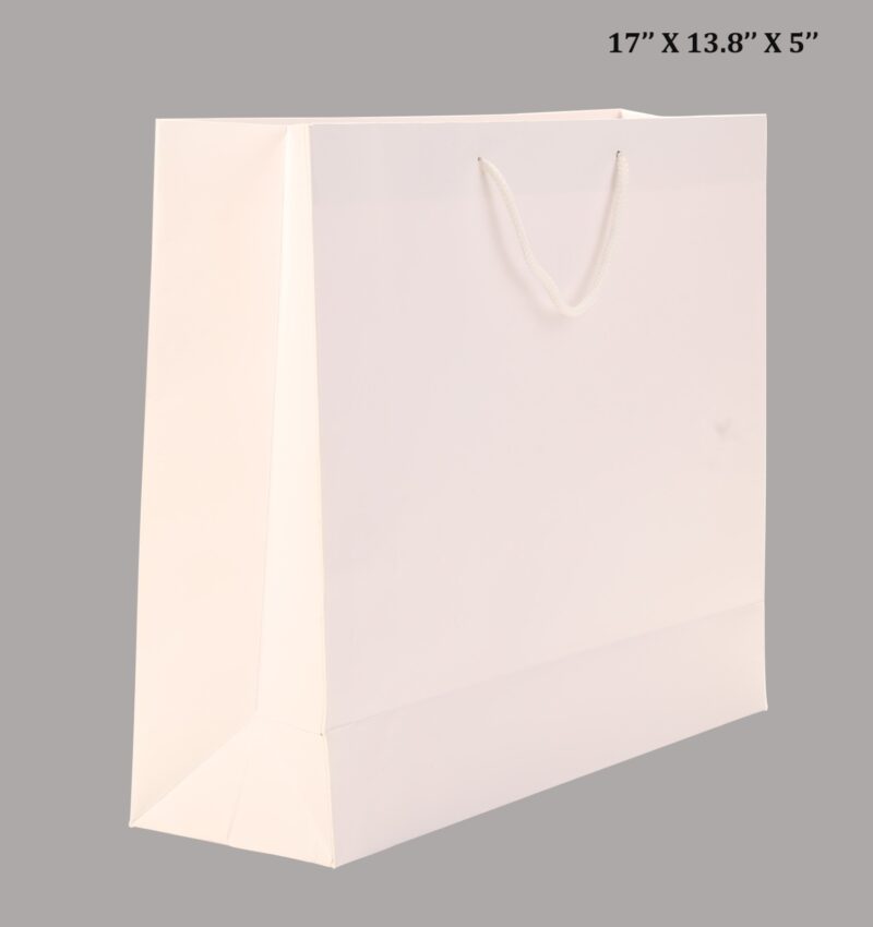 Paper Bag White Pack Of 25(17"x13.8"x5")(25)