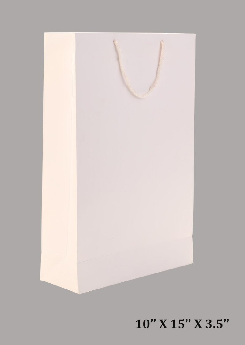 Paper Bag White Pack Of 50(10"x15"x3.5") (50)