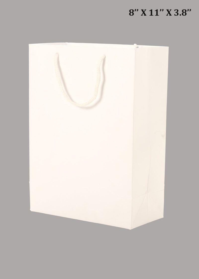 Paper Bag White Pack Of 100(8"x11"x3.8")(100)